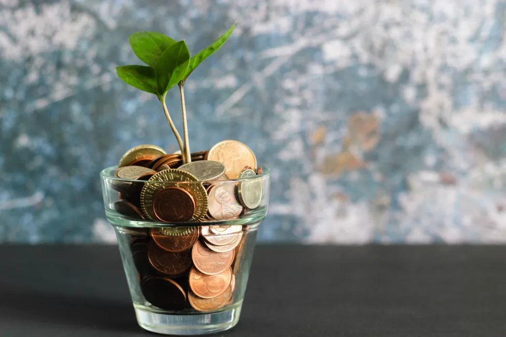 coins in a glass and a plant growing